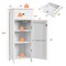 Wooden Storage Free-Standing Floor Cabinet with Drawer and Shelf